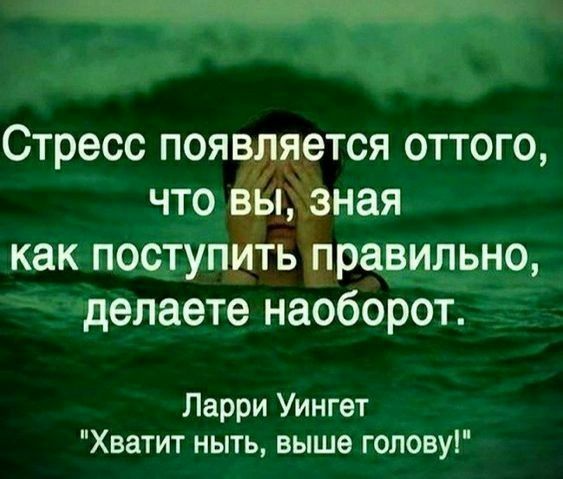 і Стресс появд ется оттого что выданая как поступить правильно делаете наоборот Ларри Уингет Хватит ныть выше гопову