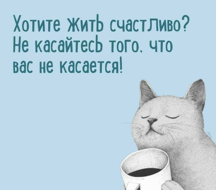 Хотите житЬ счастливо Не касайтесь того что вас не касается 551 чз