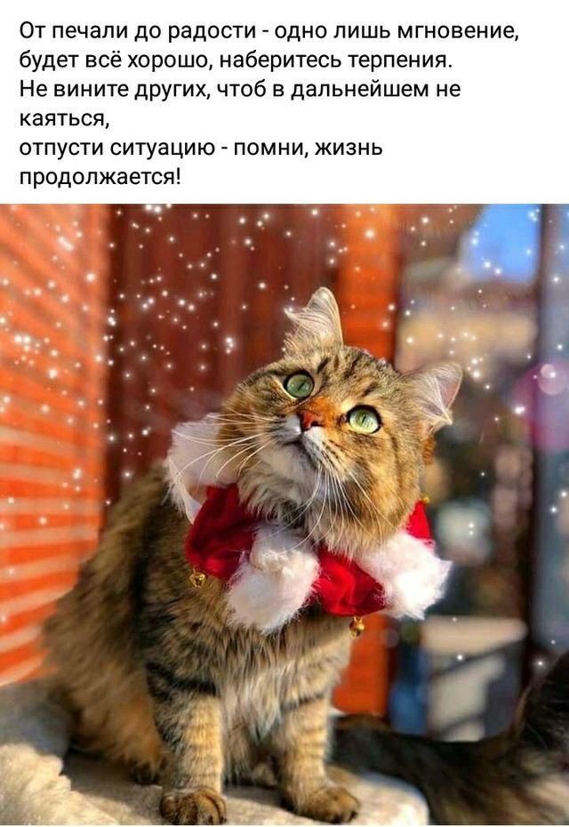 От печали до радости одно лишь мгновение будет всё хорошо наберитесь терпения Не вините других чтоб в дальнейшем не каяться отпусти ситуацию помни жизнь продолжается