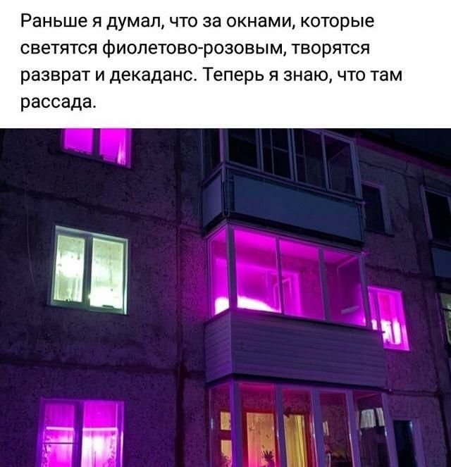 Раньше Я Думал ЧТО за окнами КОТОРЫЕ СВеТЯТСЯ фИОПеТОВО рОЗОВЫМ творятся разврат и декаданс Теперь я знаю то там рассада