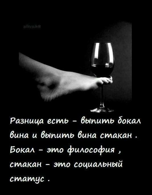 5 1 _ Разница есть выпить бокал в и Вылить вина стакан Бокал это фьмософия стакан это социальный статус