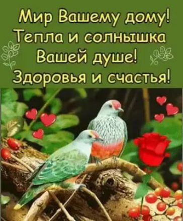 Мир Вашему дому Тепло и солнышк Вашей душе Здоровья и счастья