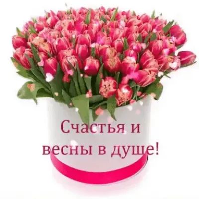 весны в душе