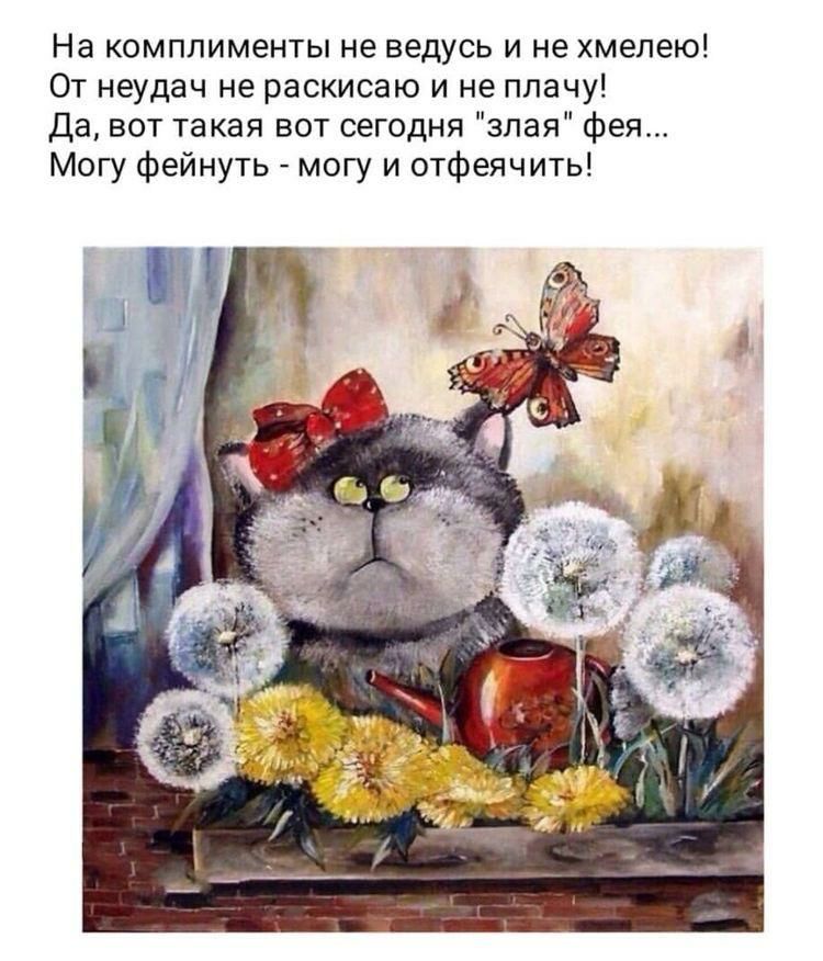 На комплименты не ведусь и не хмелею От неудач не раскисаю и не плачу Да вот такая вот сегодня злая фея Могу фейнуть могу и отфеячить