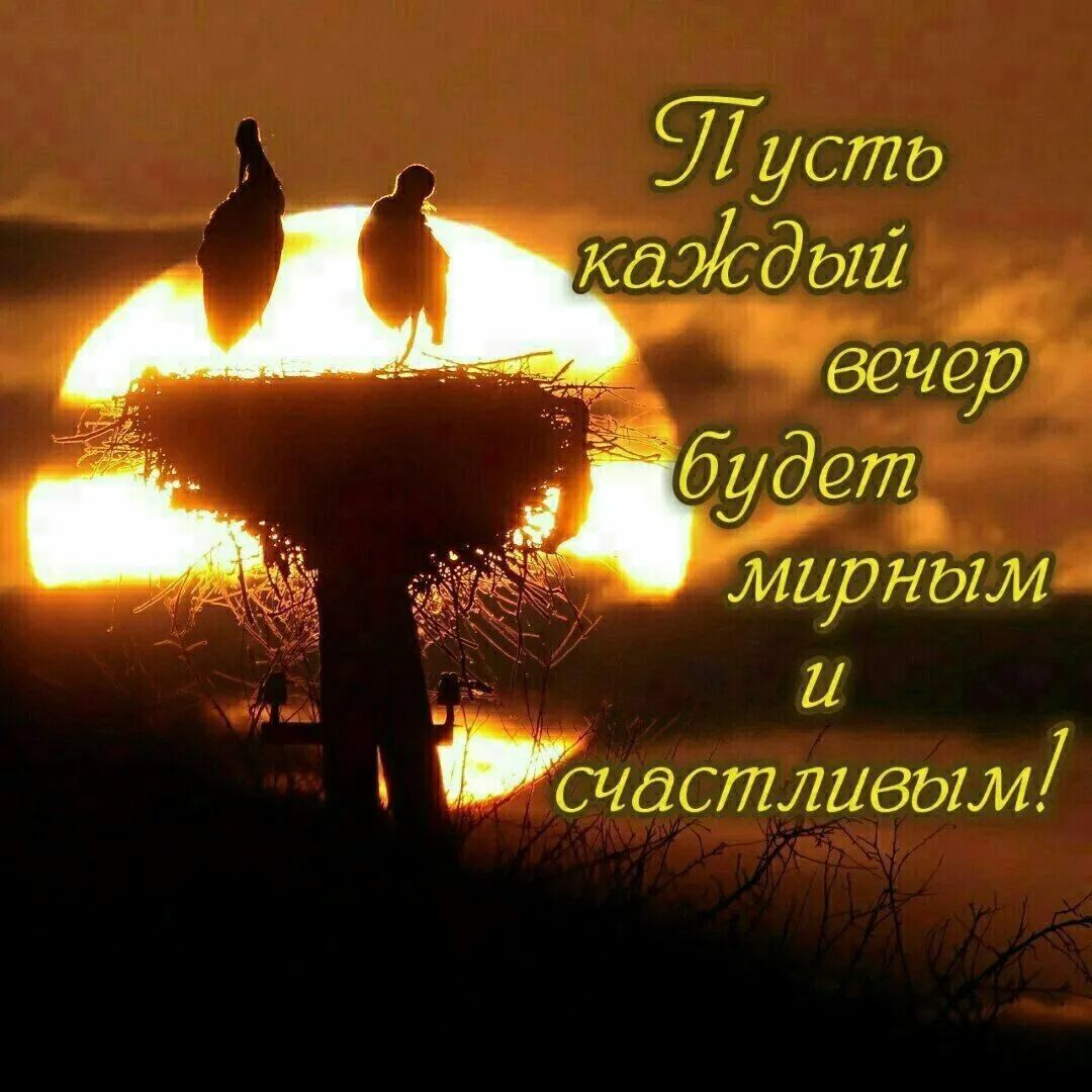 А тупика казддт дстливым