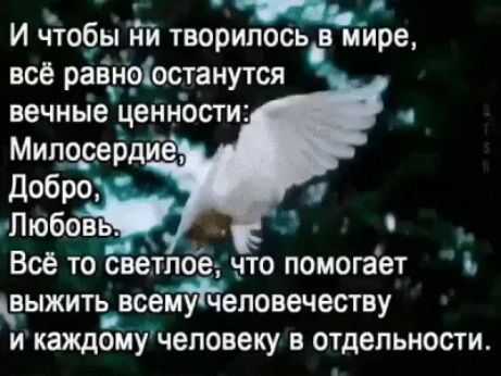 т в мире и чтобы ни творилось всё равноіостаиутся вечньіе _ценности Милорердие добро Любовь Все то Ёвётлоёь что помогает выжить_всемУРчеповечеству и каждому человеку в отдельности