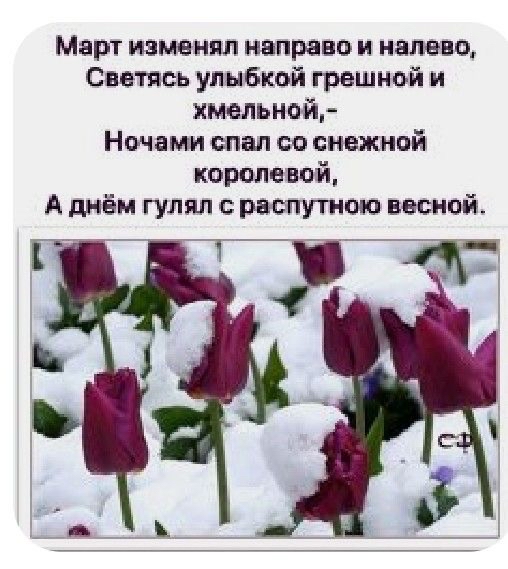 Март изме нлп направо и налево Сявтясь улыбкой грешной и хмельной Ночамъи спал со снежной короле вой А днём гулял раст тою весной 1 _