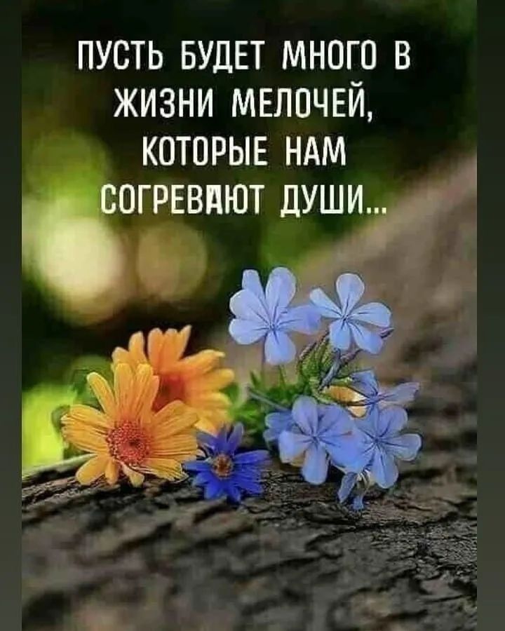 ПУСТЬ БУДЕТ МНОГО В ЖИЗНИ МЕЛПЧЕЙ КОТОРЫЕ НАМ СОГРЕВПЮТ ДУШИ