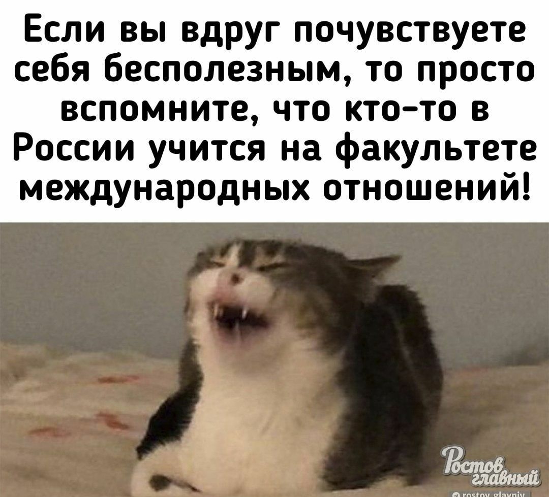 Если вы вдруг почувствуете себя бесполезным то просто вспомните что кто то в России учится на факультете международных отношений Ёапов