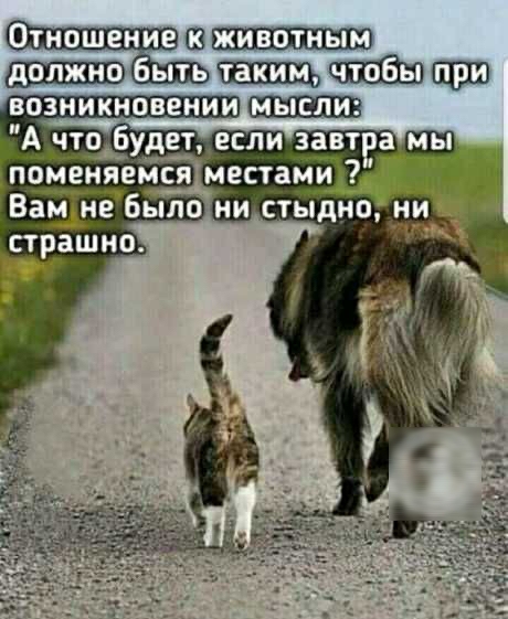 Отношение Ш 6ыть тыщщ щзш А чув Будет пбменяемся местами