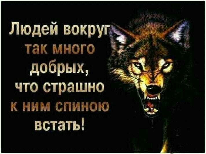 Много добрых. Людей вокруг так много добрых что страшно к ним спиною встать. Вокруг людей так много добрых что страшно. Людей вокруг так много добрых что. Вокруг так много.