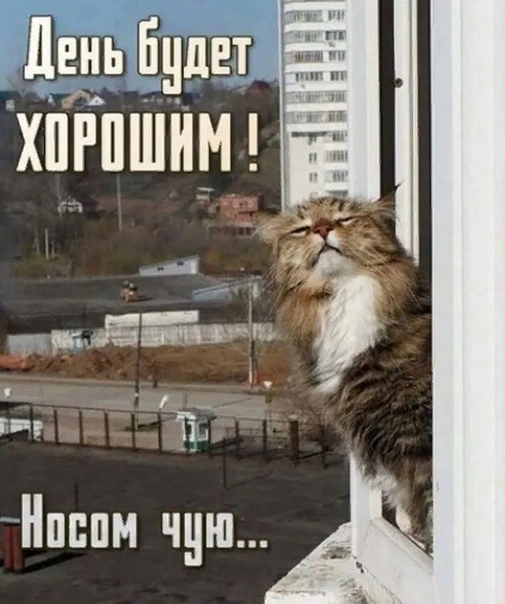 день Бцде ХПРПШНМ шт тім Нпппм чую