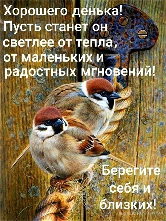 светлее от тепла от маленькихъи радцстных Мнгд