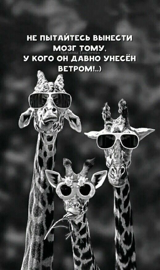 ж НЕ ПЫТАИТЕСЬ ВЫНЕСТИ мчэг тому У КОГО ОН ддВНО УНЕСЁН встромы мм