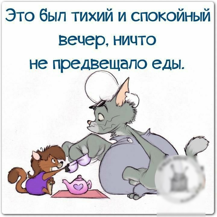 Это был тихий и спокойный вечер ничто не предвещало еды