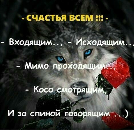 СЧАСТЬЯ ВСЕ