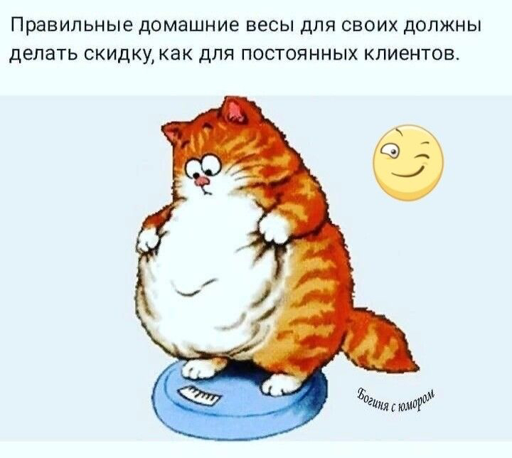 Правильные домашние ВЕСЫ дЛЯ СВОИХ ДОЛЖНЫ дЕЛЭТЬ СКИДКУК8К ДЛЯ ПОСТОЯННЫХ КЛИЕНТОВ