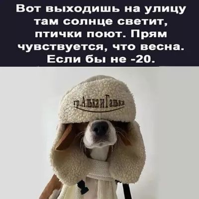 Вот выходишь на улицу там солнце светит птички поют Прям чувствуется что весна Если бы не 20