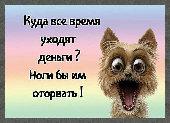 Куда все время ухедят деньги Ноги бы им оторвать
