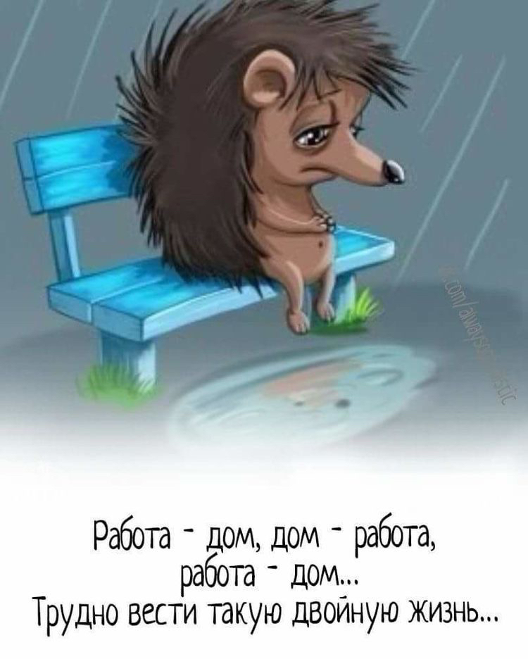 РдбОТд д0М дом работа работа дом Трудно вести такую двойную жизнь