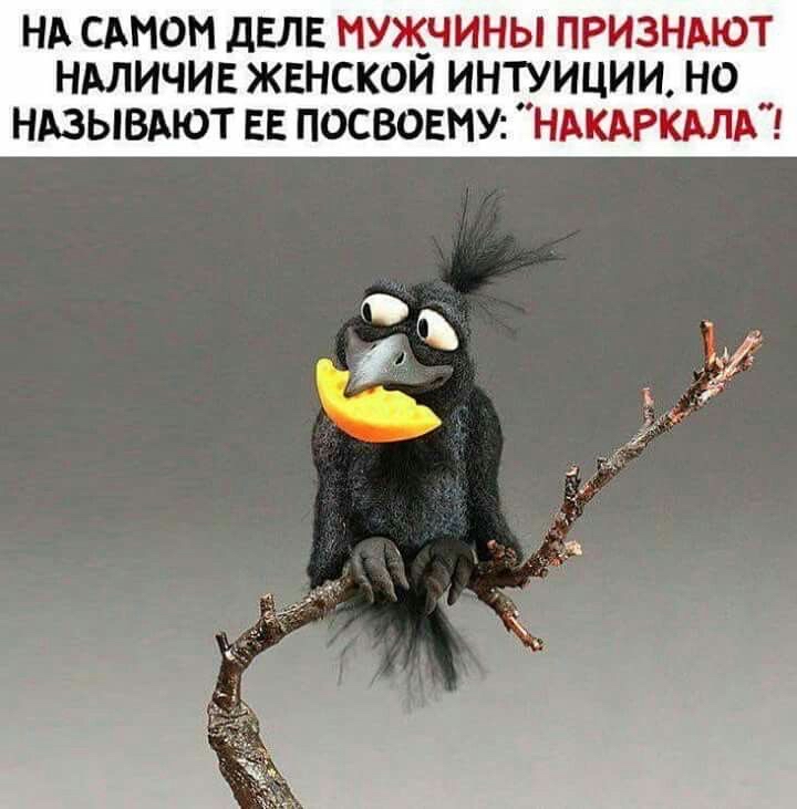 НА САМОМ дЕЛЕ НУЖ_ЧИНЫ ПРИЗНАЮТ НАЛИЧИЕ ЖЕНСКОИ ИНТУИЦИИ НО НАЗЫВАЮТ ЕЕ ПОСВОЕМУ НАКАРКАЛА