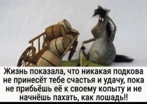 Жизнь показала что никакая подкова не принесёт тебе счастья и удачу пока не прибьёшь её к своему копыгу и не иачиёшь пахать как лошадь