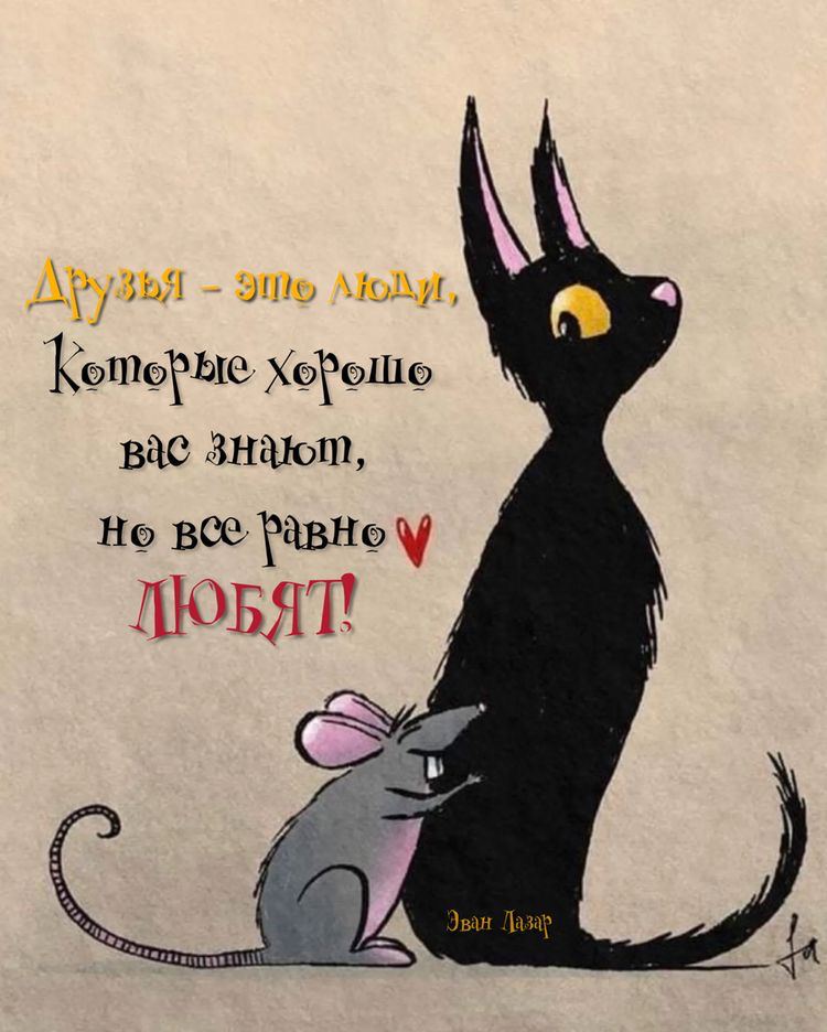 Ард каш эта КФШФЁЬЮ Хед Шфд ВЫ 311310111 НФ все 3115 ч