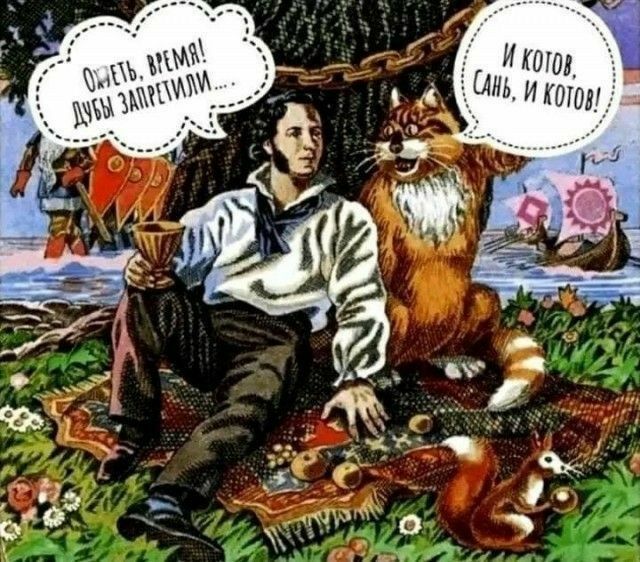 Й котор, 46, и котоу!