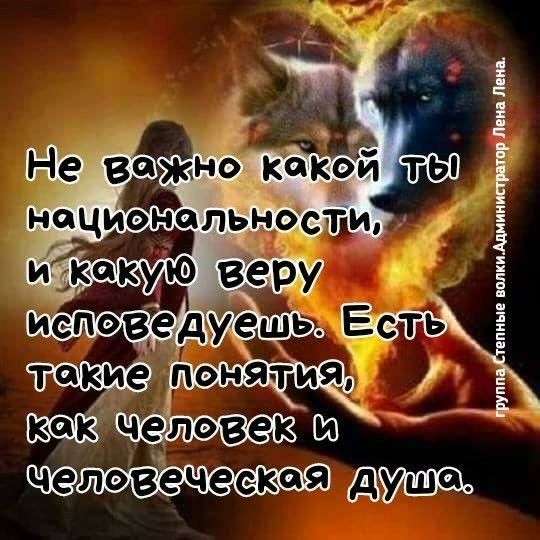 кш шпата идут пп ен полиции ми пм