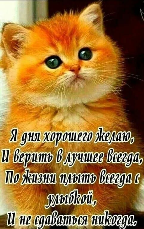 Я ШЗ Вща а1
