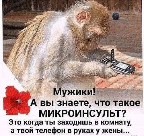 А вы знаете что такое МИКРОИНСУПЬТ Это когда ты заходишь в комнату а твой телефон в руках у жены
