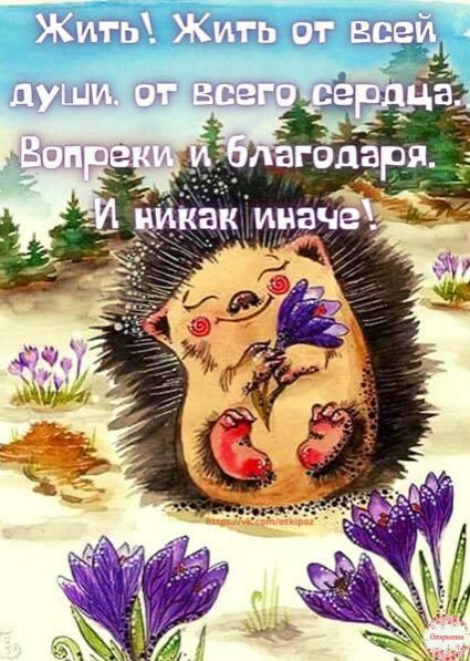канты ікимЧ г тп 113
