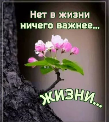 Нет в жизни ничего важнее