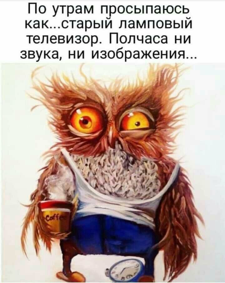 По утрам просыпаюсь какстарый ламповый телевизор Полчаса ни звука ни изображения