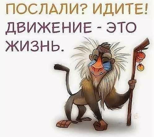 ПОСЛАЛИ ИДИТЕ ДВИЖЕНИЕ ЭТО