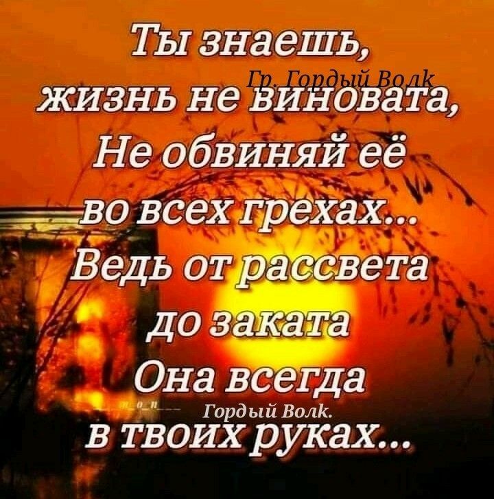 ТЫ зна ешь ЖИЗНЬ не винова та Не обвиняй её ава всехшрехах Она всегда Гор дыйВолк в твоих руках