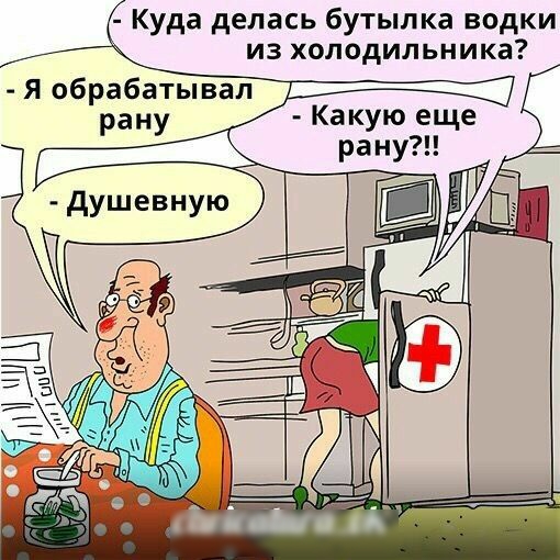 Куда делась бутылка водки из холодильника Я обрабатывал Какую еще Душевную