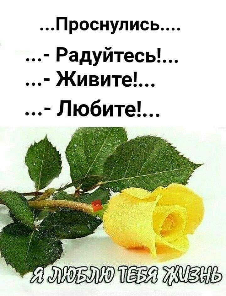 Проснулись Радуйтесь Живите Любите июню жизнь
