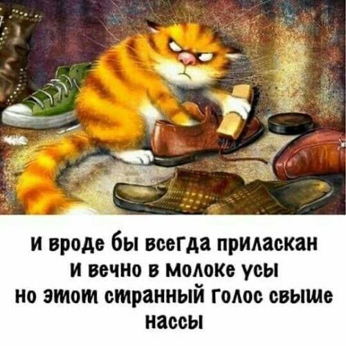 и вроде бы всегда приласкан вечно В МОАОКЕ усы но этот странный Гомо свыше насеы