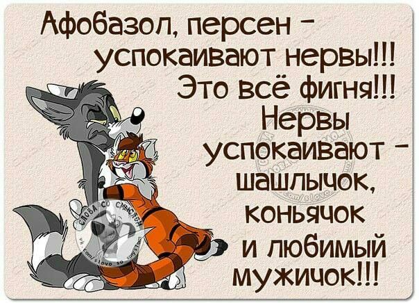 Афобазоп персен успокаивают нервы Это всё фигня Нервы успокаивают шашлычок коньяцок и любимый мужичок