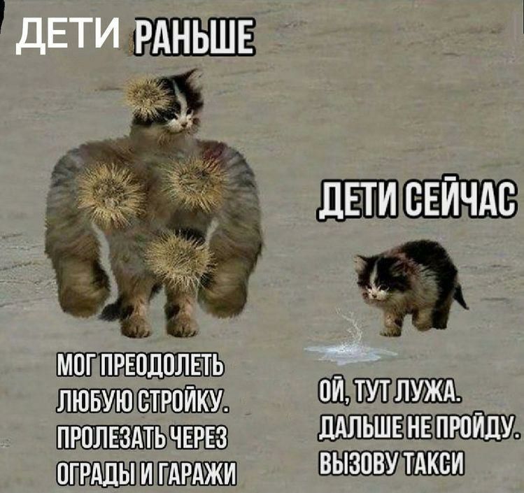 ШЩЁШЁ ПРЕПДПЛЕТЬ т ПШ ПГРАЦЫШГАРАЖИ вызову ТАКБИ