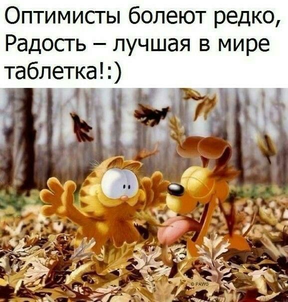 Оптимисты болеют редко Радость лучшая в мире таблетка Ё