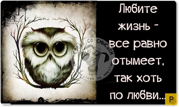 Любите жизнь все равно отымеет так хоть по любви