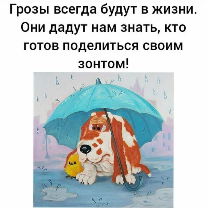 Грозы всегда будут в жизни Они дадут нам знать кто готов поделиться своим зонтом