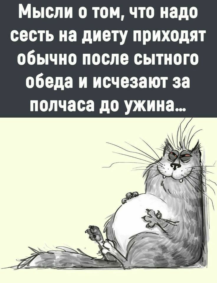 Мысли о томчто надо сесть на диету приходят обычно после сытного обеда и исчезают за полчаса до ужина