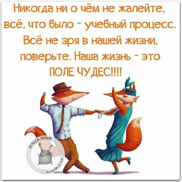Никогда ни о чём не жалейте всё что было учебный гроцесс Всё не зря в ющей жизни поверьте Наша жизнь это ПОГЕ ЧУДЕС