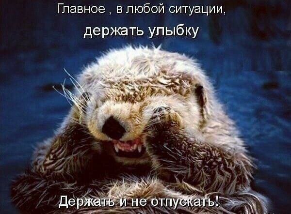 Главное в любой ситуации держать улыбку