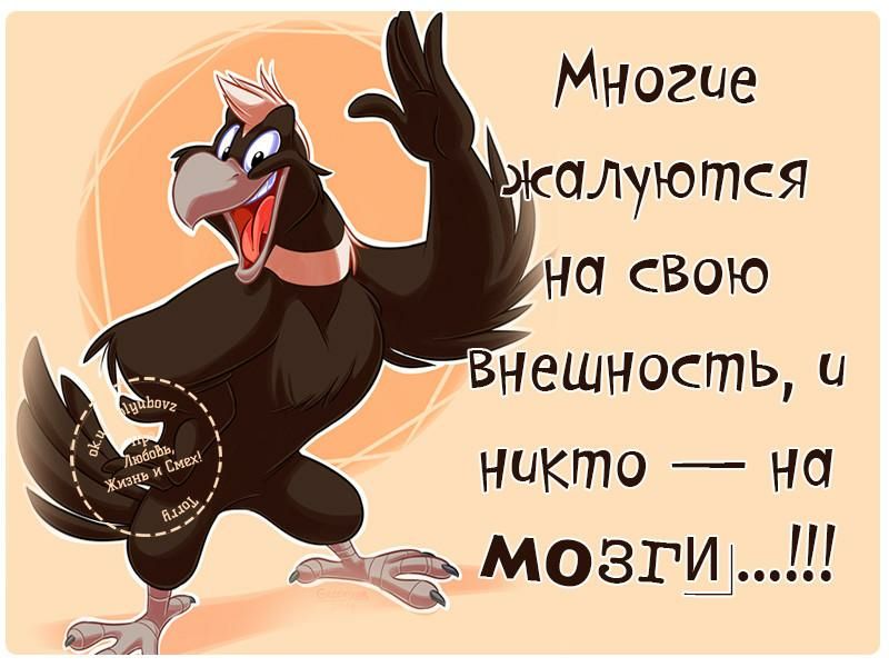 Многие жащются внешность и