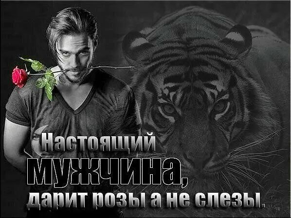 ТИЯЩЙИ Ш давит МИЭМ РПРЗЫ