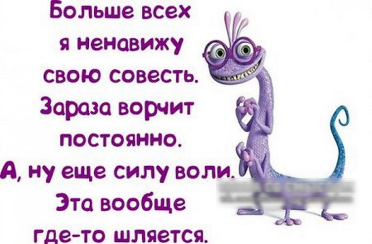 Больше всех я ненавижу свою совесть Зараза ворчит постоянно А ну еще силу воли Это вообще гдето шляется